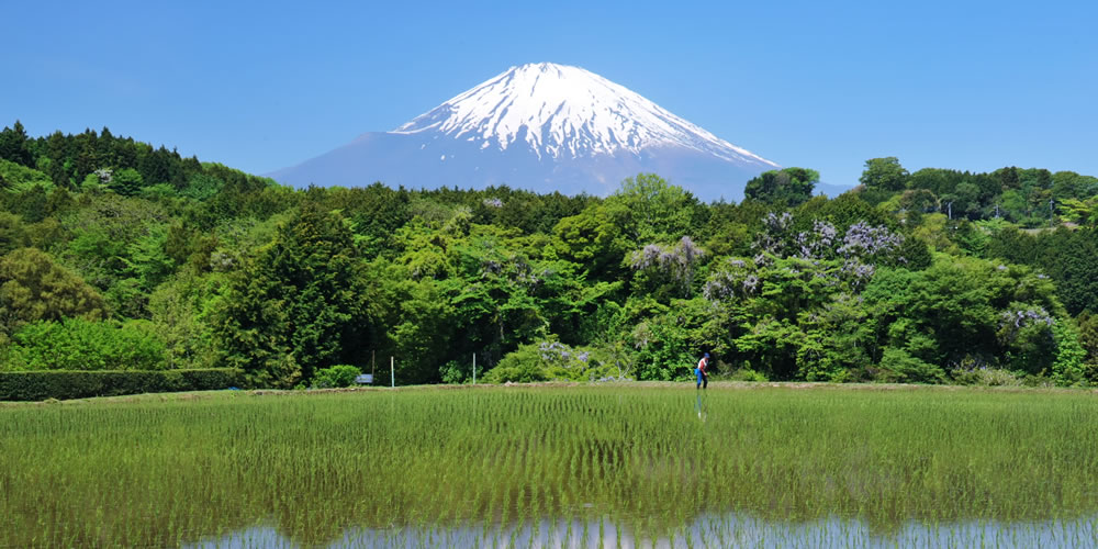 富士山