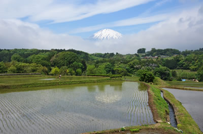 民宿 山久荘　小山町風景1