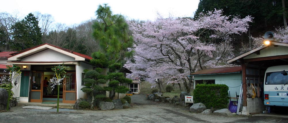 民宿 山久荘　桜