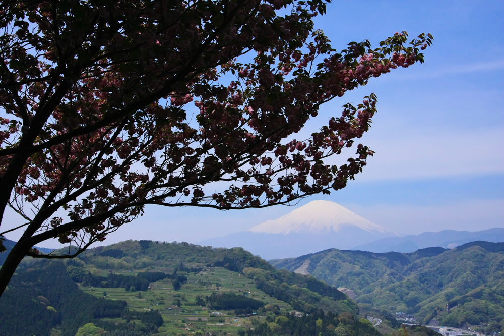 富士山　画像